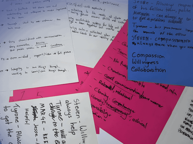 Defining Bigfish Technology values